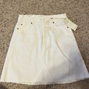 Zara The Mini Skirt